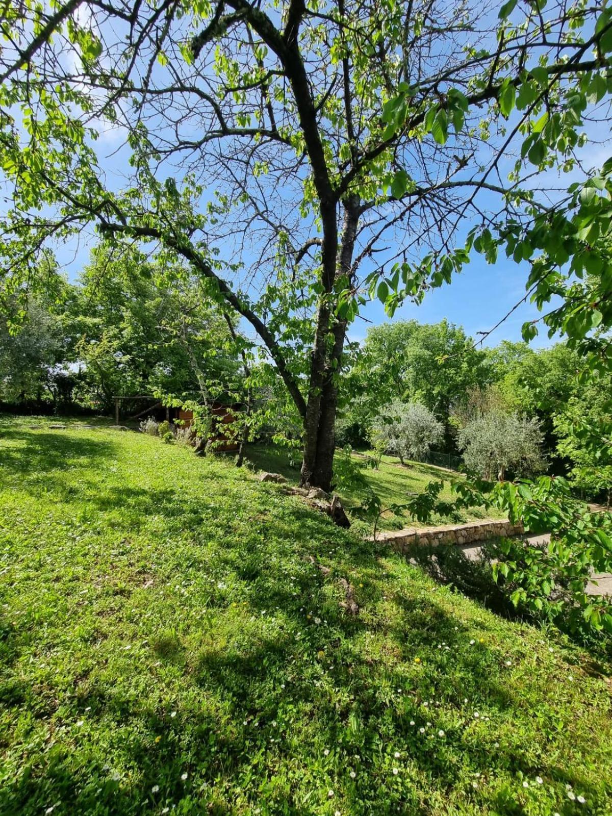 Гостевой дом Dimora Nel Chianti San Sano Экстерьер фото